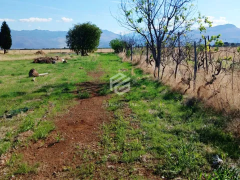 Sale, land lot, 1589m², Tuzi, Podgorica - image 4