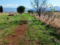 Sale, land lot, 1589m², Tuzi, Podgorica - image 4