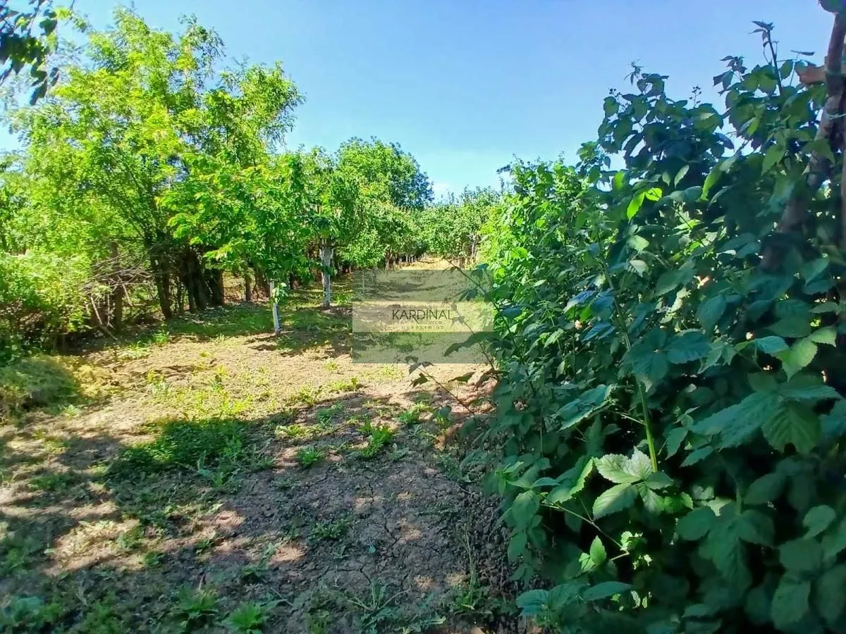 Prodaja, kuća, 65m², Kovačevac, Jagodina