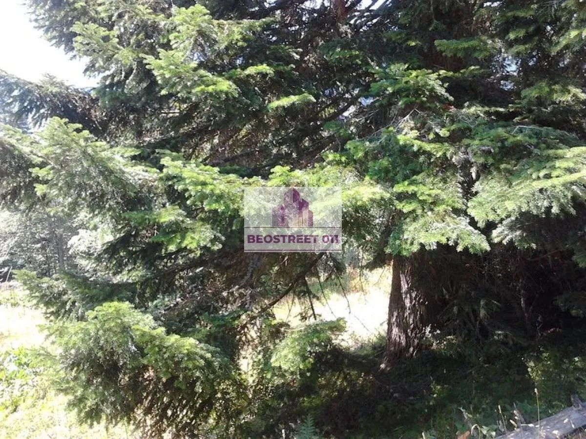 Prodaja, plac, 1500m², Andrijevica, Crna Gora
