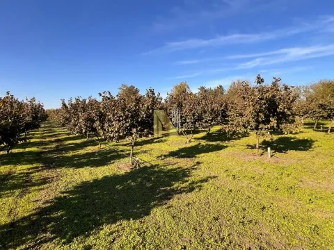 Sale, land lot, 190m², Kikinda, Srbija - image 10