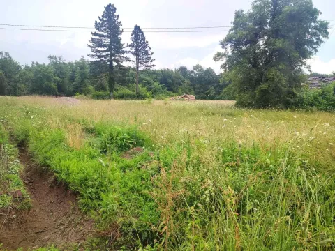 Prodaja, plac, 5000m², Ćurilac, Danilovgrad - image 2