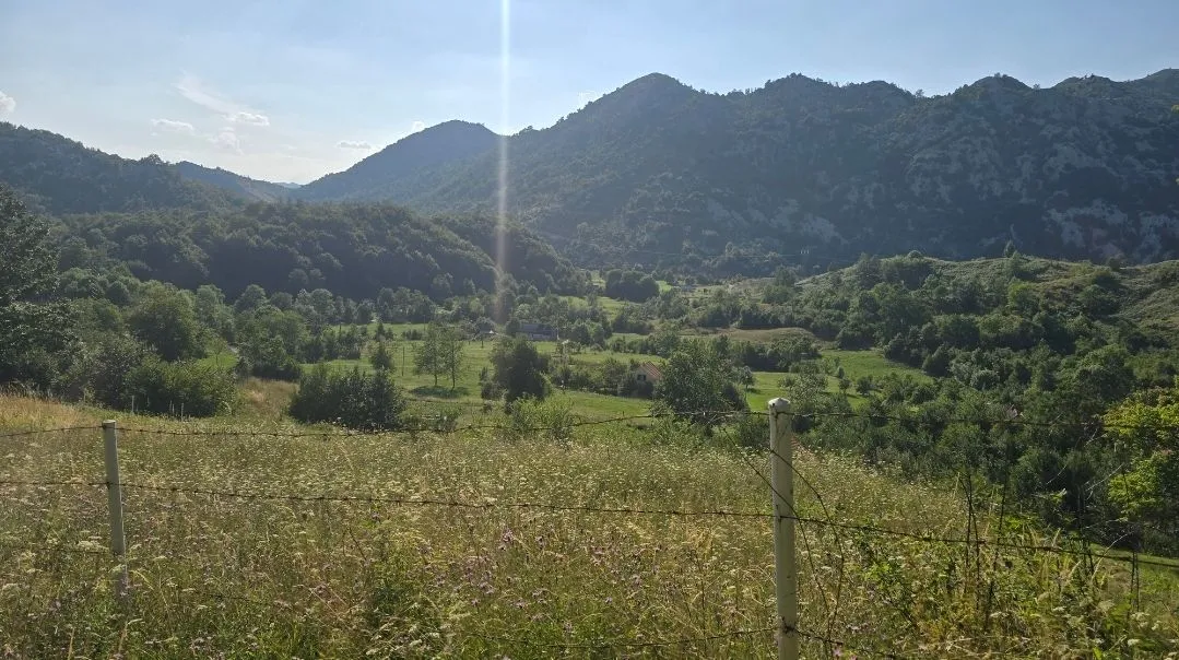 Pogled na planinski pejzaž i zelenilo sa parcele.