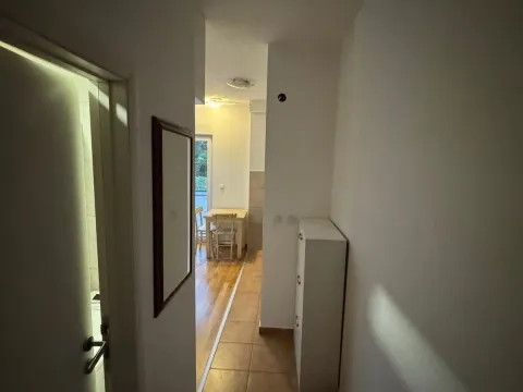 Rent, one bedroom apartment, 30m², Zabjelo, Podgorica - image 4