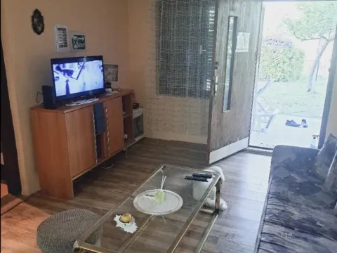 Stan-na-dan, trosoban stan, 60m², Srebrno jezero, Veliko Gradište - image 2