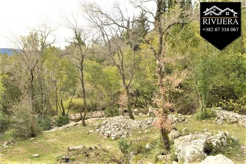 Prodaja, plac, 12300m², Topla, Herceg Novi