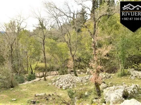 Prodaja, plac, 12300m², Topla, Herceg Novi - image 9