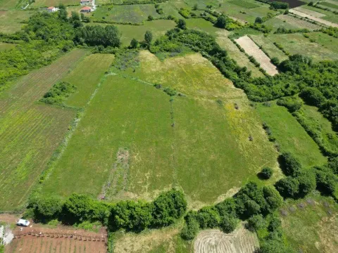 Prodaja, plac, 4422m², Beri, Podgorica - image 6