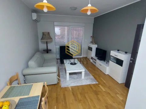 Rent, one bedroom apartment, 43m², Zabjelo, Podgorica - image 4