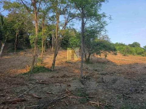 Prodaja, plac, 3900m², Sremska Kamenica, Petrovaradin - image 6