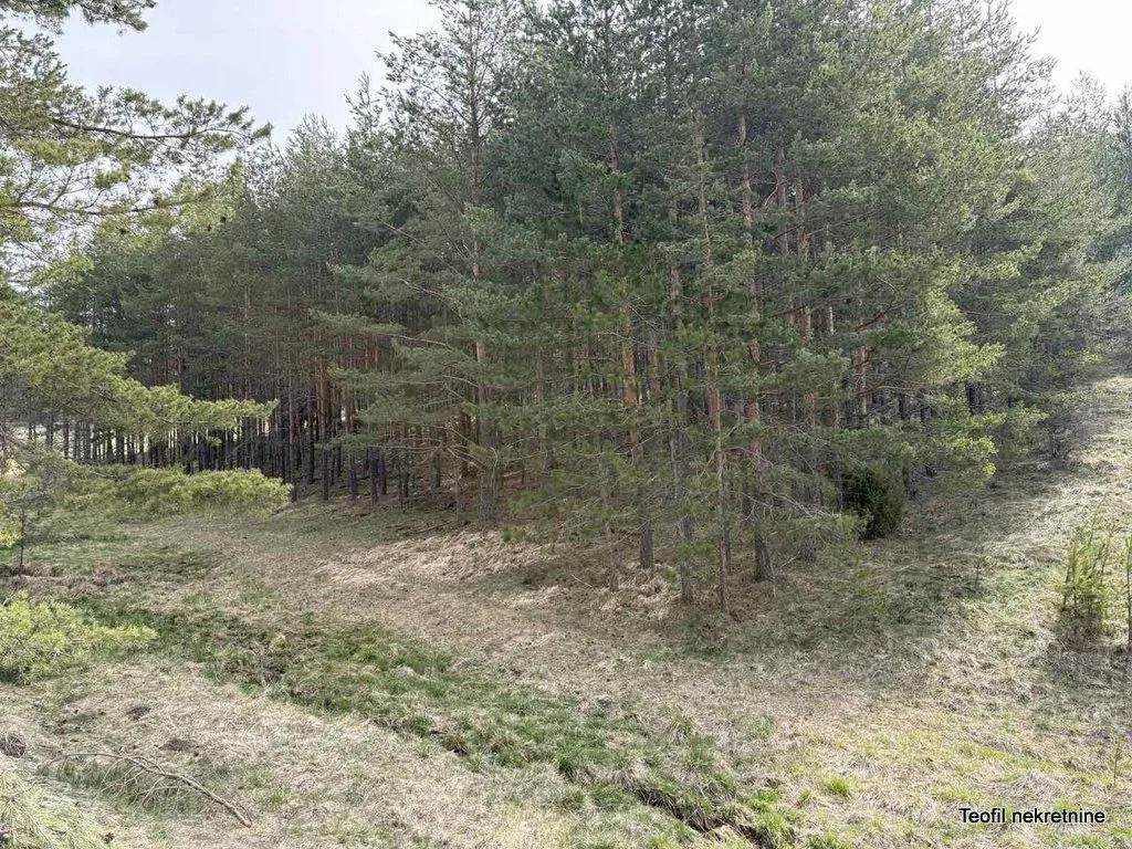 Prodaja, plac, 6600m², Zlatibor, Srbija