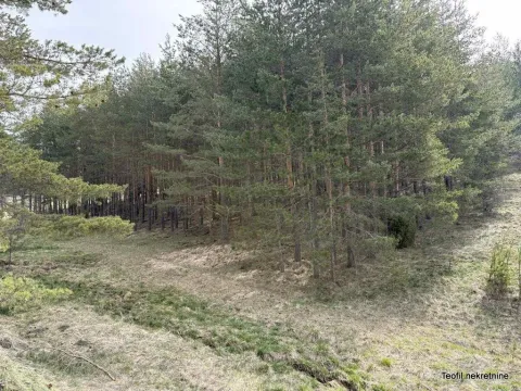 Prodaja, plac, 6600m², Zlatibor, Srbija - image 6