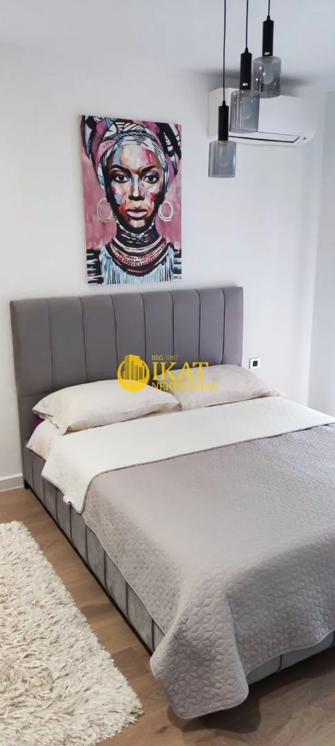 Rent, two bedroom apartment, 46m², Novi Beograd Blok 65, Novi Beograd Sve Podlokacije