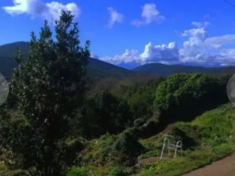 Sale, land lot, 2500m², Višnjevo, Kotor - image 3