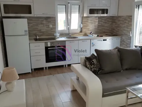 Izdavanje, jednosoban stan, 40m², Stari Aerodrom, Podgorica - image 11