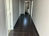 Izdavanje, poslovni prostor, 120m², Zemun Ugrinovci, Zemun Sve Podlokacije - image 4