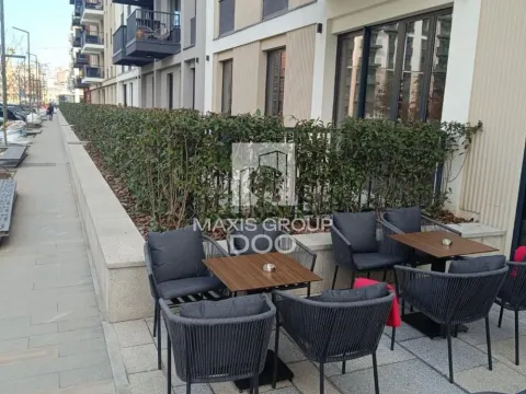 Izdavanje, dvosoban stan, 60m², Savski Venac, Beograd - image 5