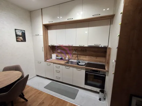Rent, one bedroom apartment, 44m², Tološi, Podgorica - image 7