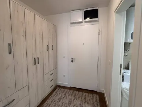 Izdavanje, dvosoban stan, 49m², Zemun Kalvarija, Zemun Sve Podlokacije - image 4