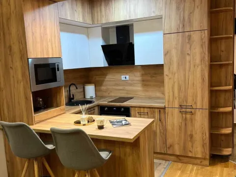 Rent, one bedroom apartment, 43m², Stari Aerodrom, Podgorica - image 4