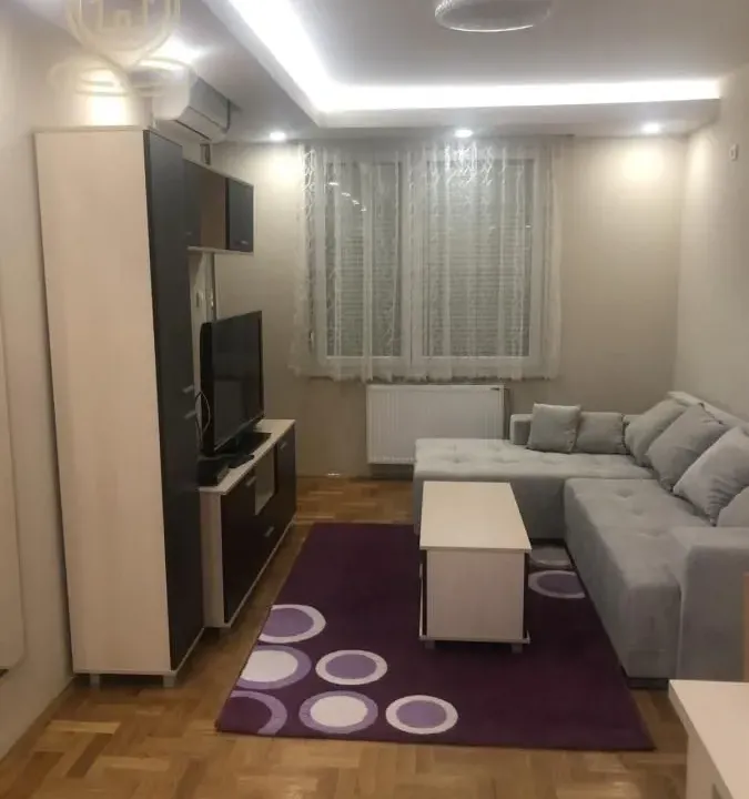 Izdavanje, jednosoban stan, 50m², Grbavica, Novi Sad Sve Podlokacije