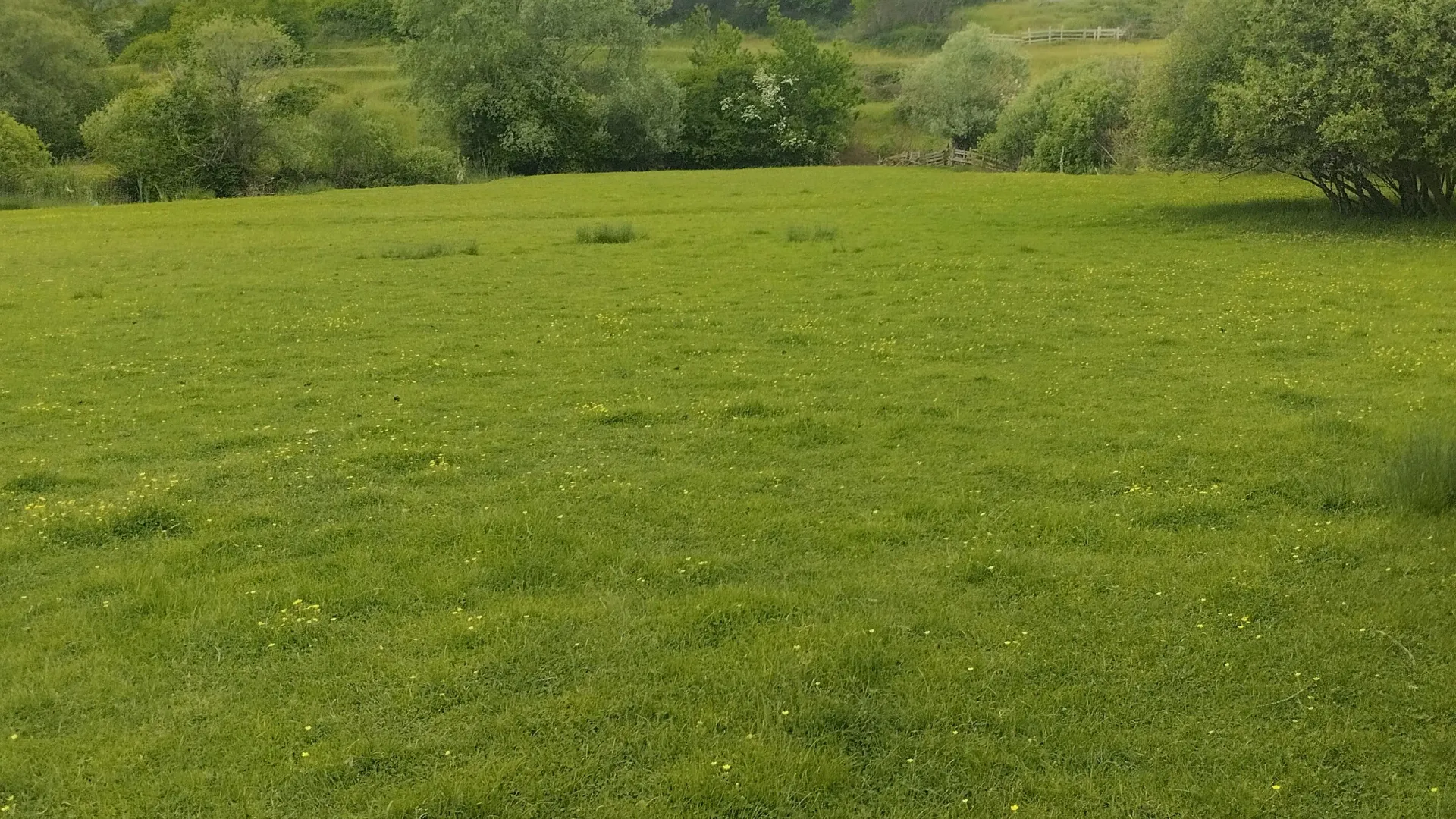 Prodaja, plac, 2700m², Rastovac, Nikšić