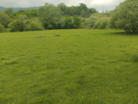 Prodaja, plac, 2700m², Rastovac, Nikšić - image 3