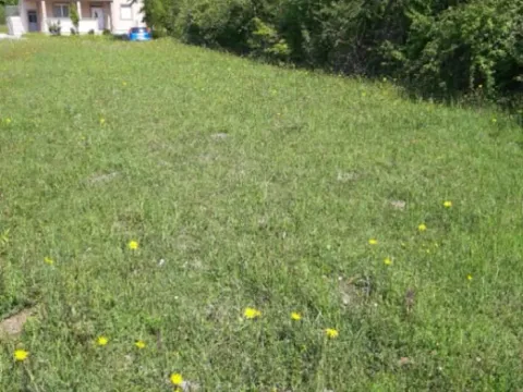 Sale, land lot, 1818m², Ćurilac, Danilovgrad - image 7