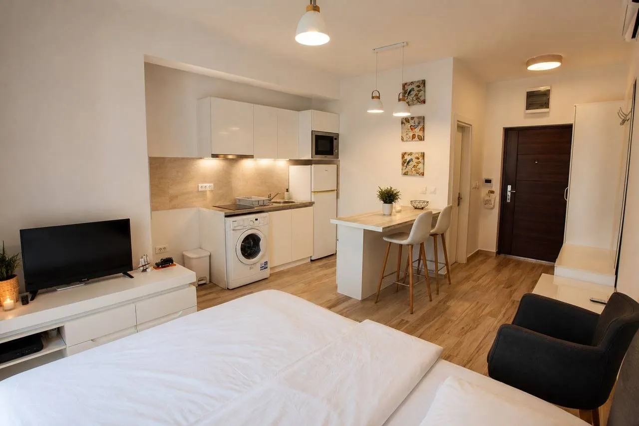 Furnished studio apartment with a kitchen and a double bed.