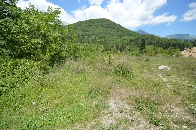 Prodaja, plac, 1357m², Sutorina, Herceg Novi