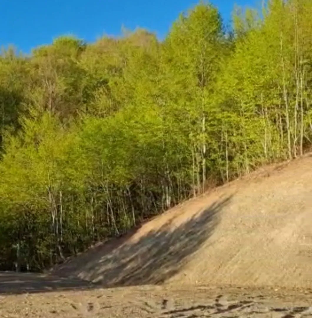 Prodaja, plac, 22000m², Kolašin, Crna Gora