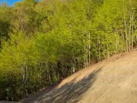 Prodaja, plac, 22000m², Kolašin, Crna Gora - image 4