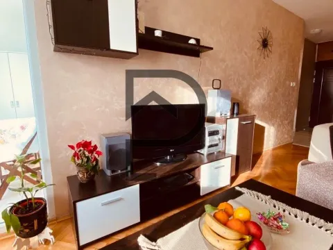 Izdavanje, jednosoban stan, 45m², Stari Aerodrom, Podgorica - image 2