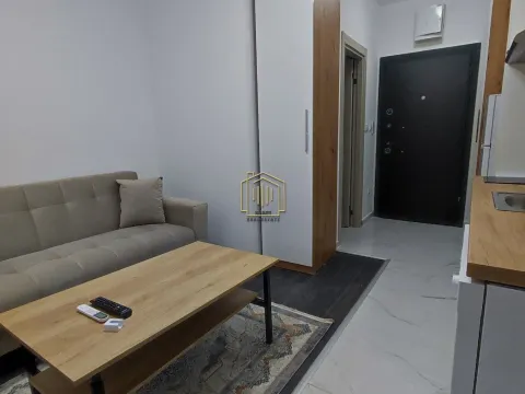 Rent, apartment, 20m², Zabjelo, Podgorica - image 7