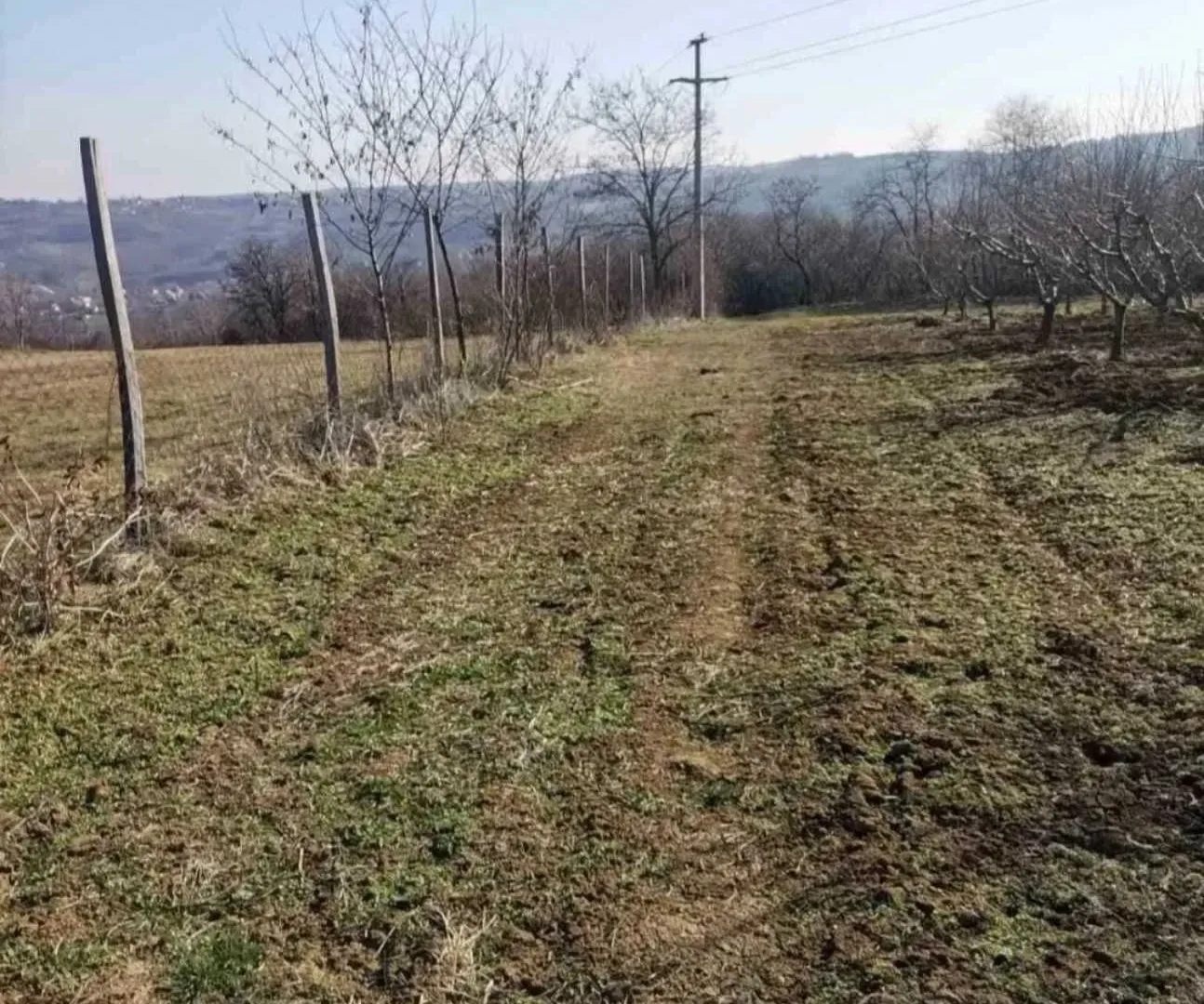 Prodaja, plac, 19600m², Dubona, Mladenovac
