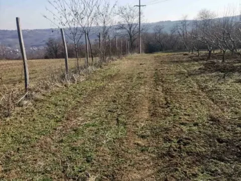 Prodaja, plac, 19600m², Dubona, Mladenovac - image 14