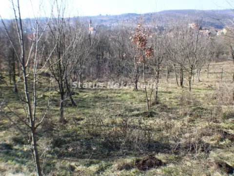 Prodaja, plac, 2400m², Irig, Srbija - image 7