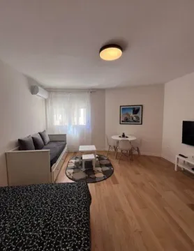 Prodaja, jednosoban stan, 33m², Central Point, Podgorica - image 2