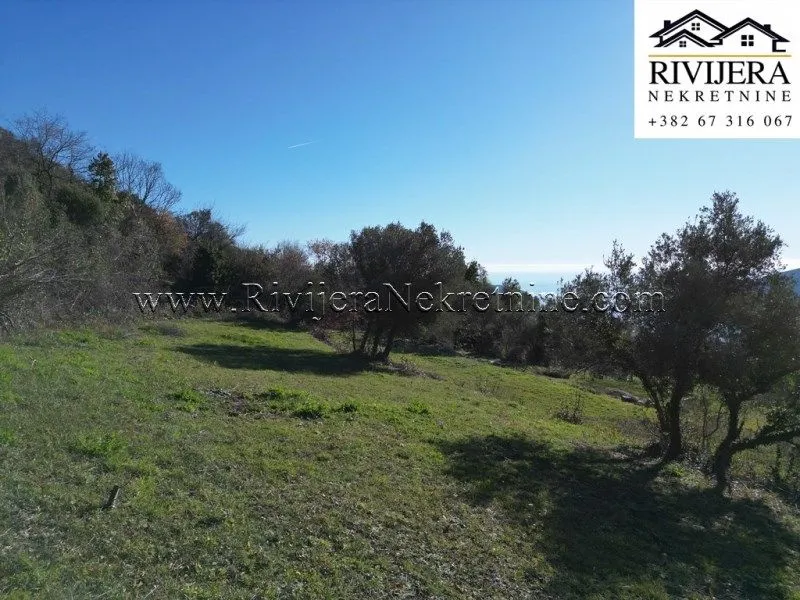 Prodaja, plac, 2306m², Trebesinj, Herceg Novi