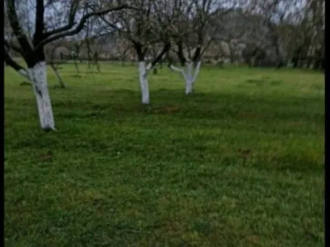 Sale, land lot, 3300m², Gorica, Danilovgrad - image 4