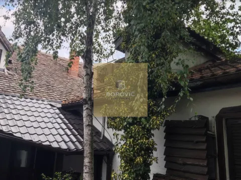 Sale, hospitality venue, 244m², Zemun Kalvarija, Zemun Sve Podlokacije - image 4