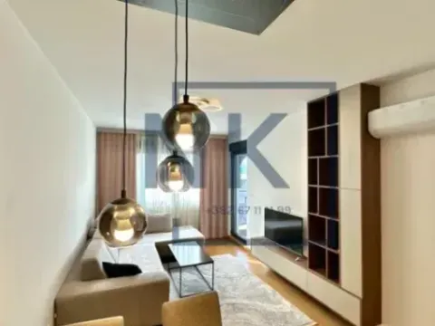 Izdavanje, jednosoban stan, 50m², Tološka šuma, Podgorica - image 3