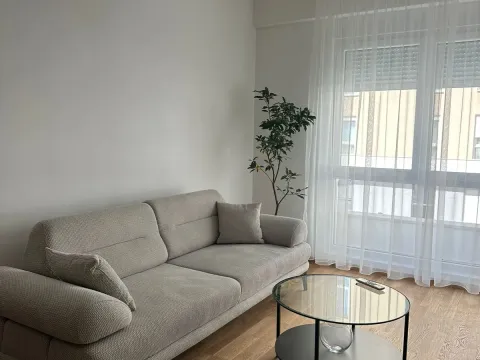 Rent, apartment, 45m², Zabjelo, Podgorica - image 3