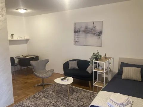 Rent, studio apartment, 37m², Preko Morače, Podgorica - image 4