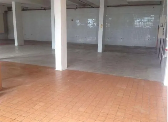 Izdavanje, poslovni prostor, 500m², Altina, Beograd