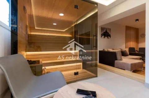Izdavanje, dvosoban stan, 55m², Južni Bulevar, Vračar Sve Podlokacije - image 16