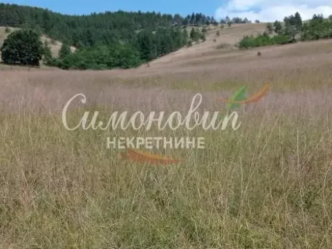 Sale, land lot, 212100m², Divčibare, Valjevo - image 8