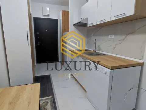 Rent, studio apartment, 20m², Zabjelo, Podgorica - image 4