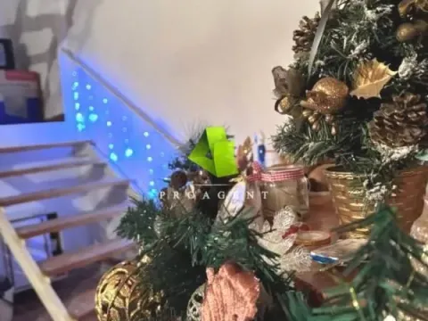 Prodaja, kuća, 40m², Palilula, Niš - image 5