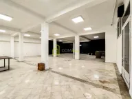 Izdavanje, poslovni prostor, 220m², Centar, Podgorica - image 1